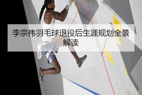 李宗伟羽毛球退役后生涯规划全景解读